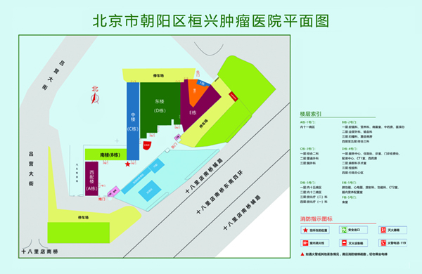 男人操逼叫啊啊啊啊北京市朝阳区桓兴肿瘤医院平面图